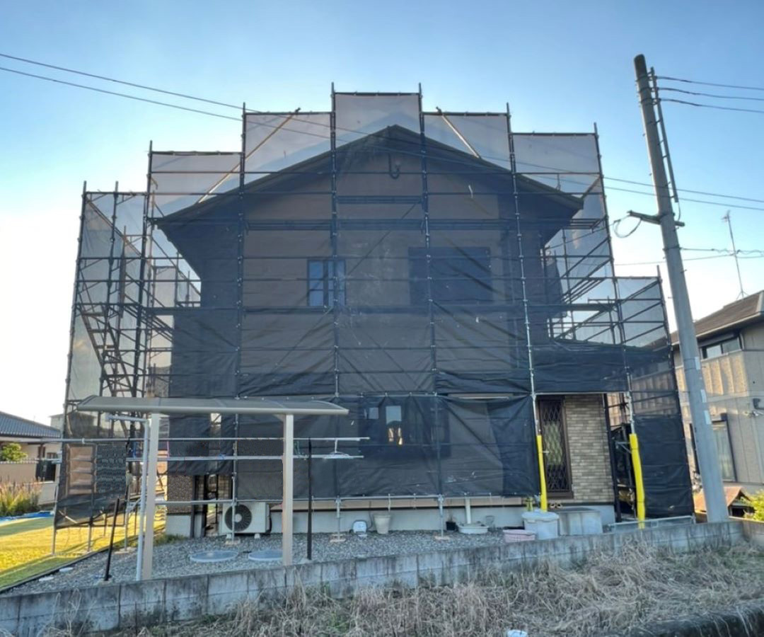 S__19218437