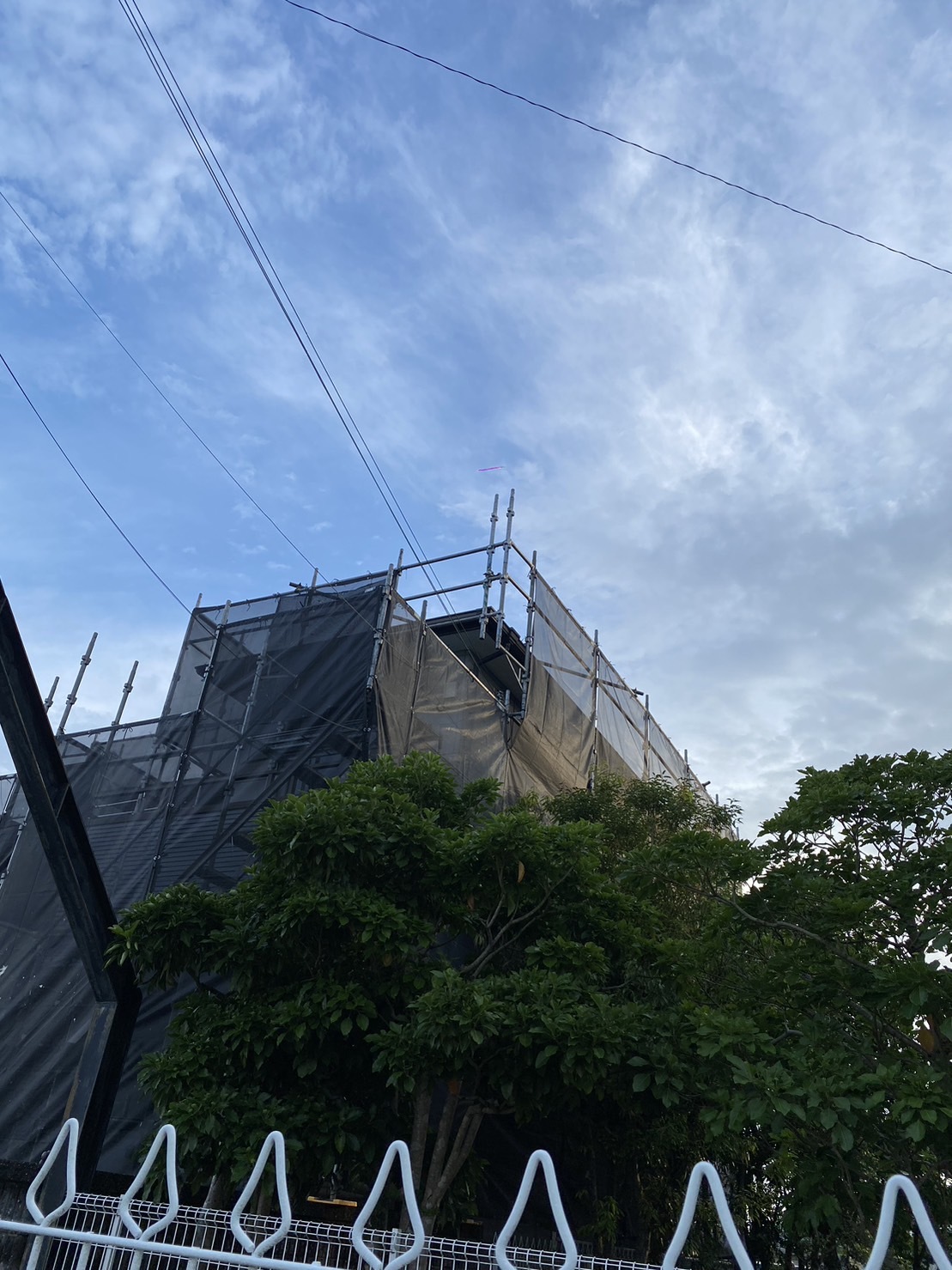 S__3498531