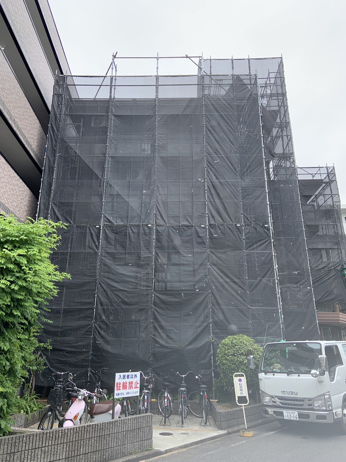 S__17727498_0