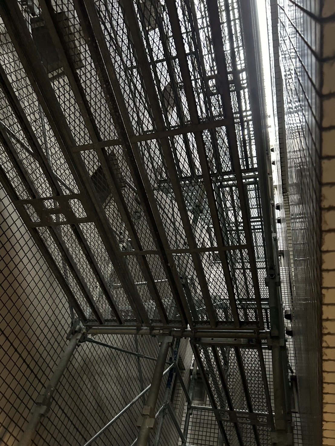 S__189906984_0