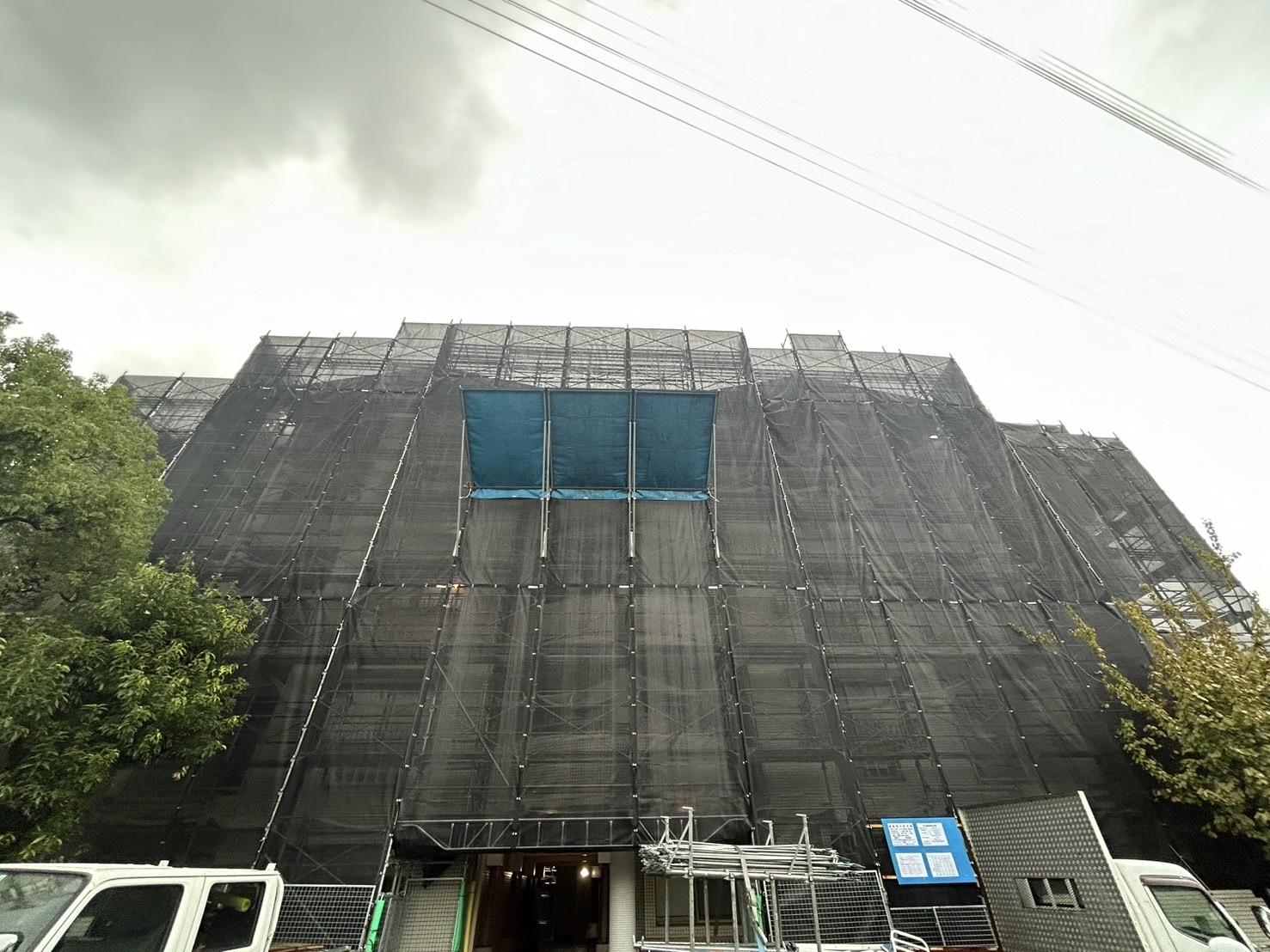 S__189972513_0