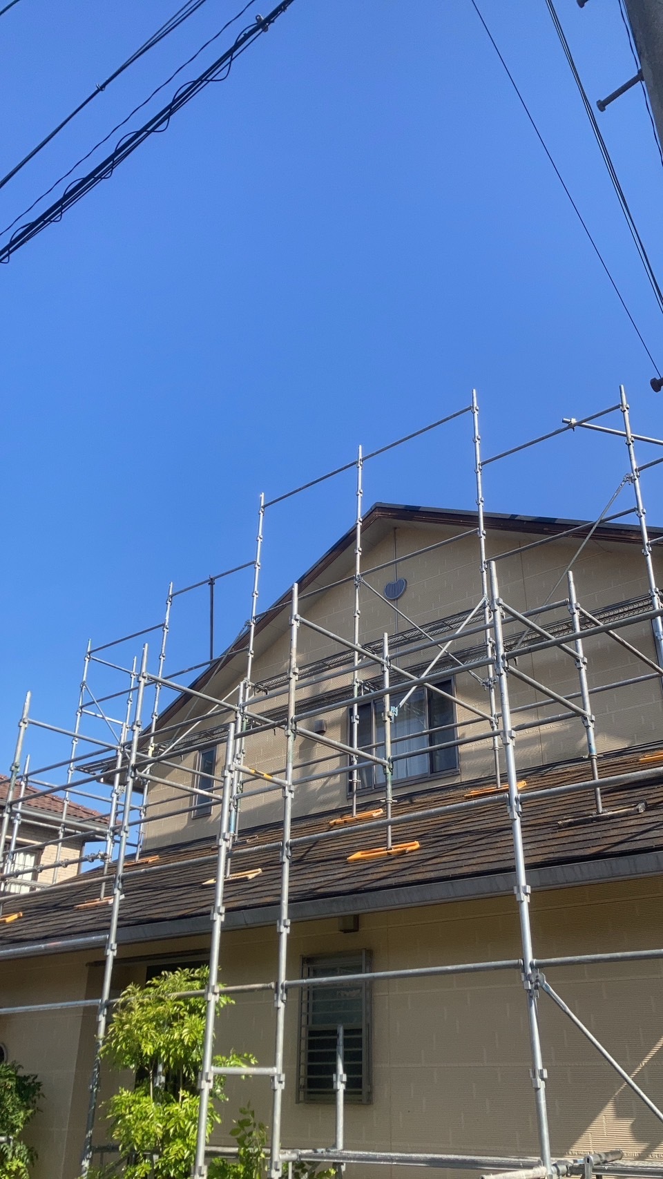 A25F7AB6B1E2826A8A02695702FF11DEF1B53EC8